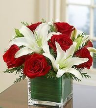 Christmas bouquet arranged 