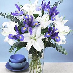 Iris And White Lilies