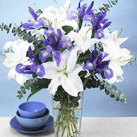 Iris And White Lilies Iris And White Lilies