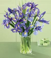 Iris Splendor Bouquet