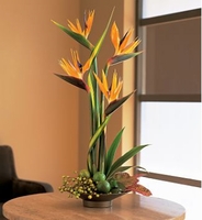 Irving, TX Nail salons directory