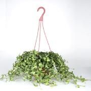 Ivy Design hanging gifts basket Ivy Design hanging gifts basket