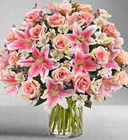  Mother day Pink Perfection 