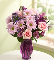 Lavender Dreams 