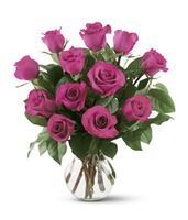 Lavender rose Lavender rose