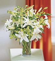 Lilies and More Lilies and More