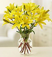 Lilies - Arranged in a Vase