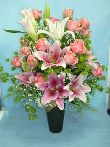 Lily Sensation