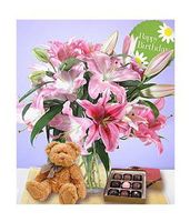 Lily Special Lily Special