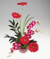 Linear arrangement of bright flowers.