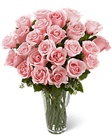 Long Stem Pink Rose Bouquet 24 rose Long Stem Pink Rose Bouquet 24 rose