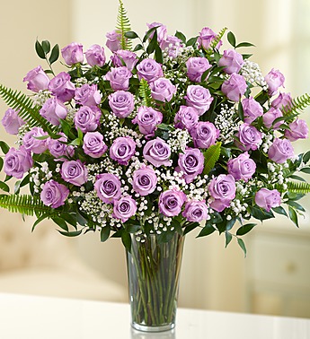 Long Stem Roses - Purple