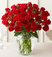 Love and Romance 4 Dozen red rose