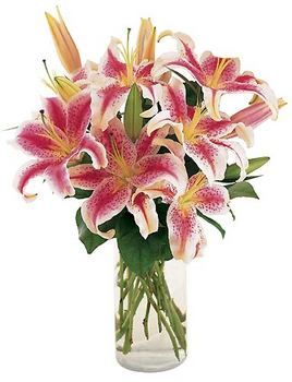 Lovely Lilies