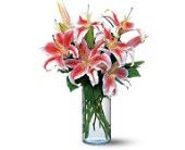 Lovely Lilies