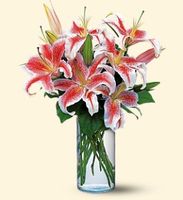 Lovely Lilies