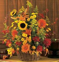 Majestic Fall Flowers Majestic Fall Flowers
