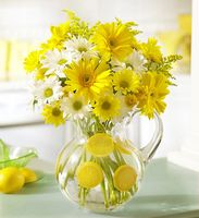 Make Lemonade in a Pitcher 