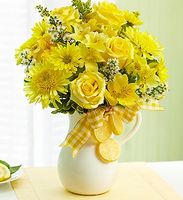 Make Lemonade in a Pitcher
