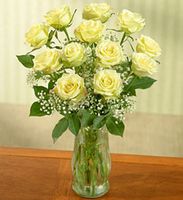 March's Rose  