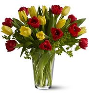 Mix of yellow and red tulips Mix of yellow and red tulips