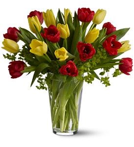 Mix of yellow and red tulips 