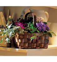Mixed African Violet Basket