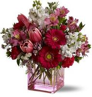 Mixed blossoms