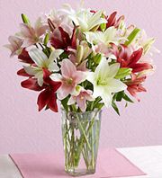 Mixed Lily Bouquet