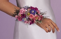 Mixed spring  Wristlet