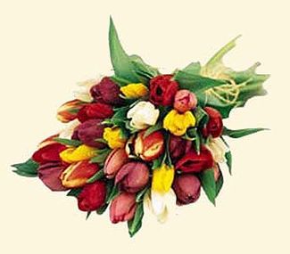 Mixed Tulip Bouquet 