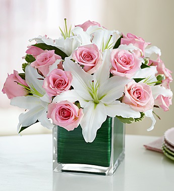 Modern Embrace Pink Rose & Lily Cub