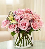 Modern Roses - One Dozen Pink 