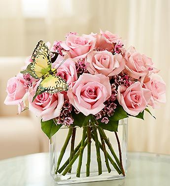 Modern Roses - One Dozen Pink 
