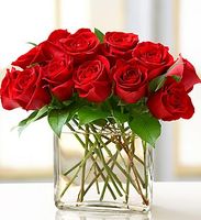 Modern Roses - One Dozen Red 