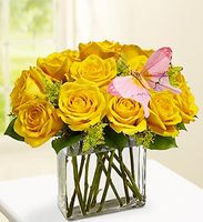 Modern Roses - One Dozen Yellow 