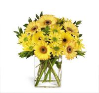 Morning Joy Bouquet