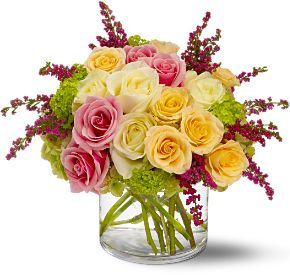 Mother s Day Roses