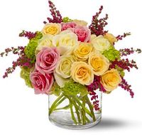 Mother s Day Roses