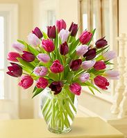 Mother's Day Tulip Bouquet Mother's Day Tulip Bouquet