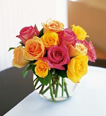 Multi-Colored Roses