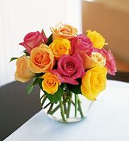 Multi-Colored Roses