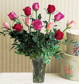 Multi-Colored Roses