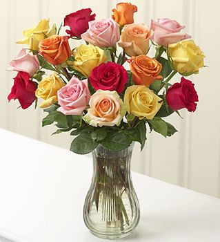 Multicolored Roses