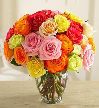 Multicolored Roses