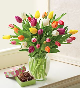 Multicolored Tulips with Chocolate