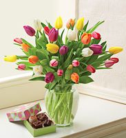 Multicolored Tulips with Chocolate