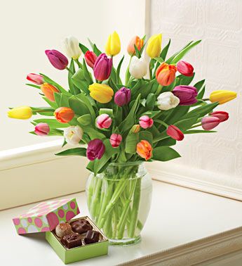 Multicolored Tulips with Chocolate