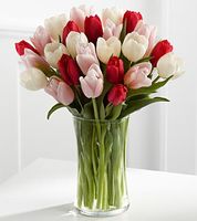 My Heart Valentine Tulip Bouquet My Heart Valentine Tulip Bouquet