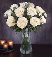 Dark Roses Dark Roses